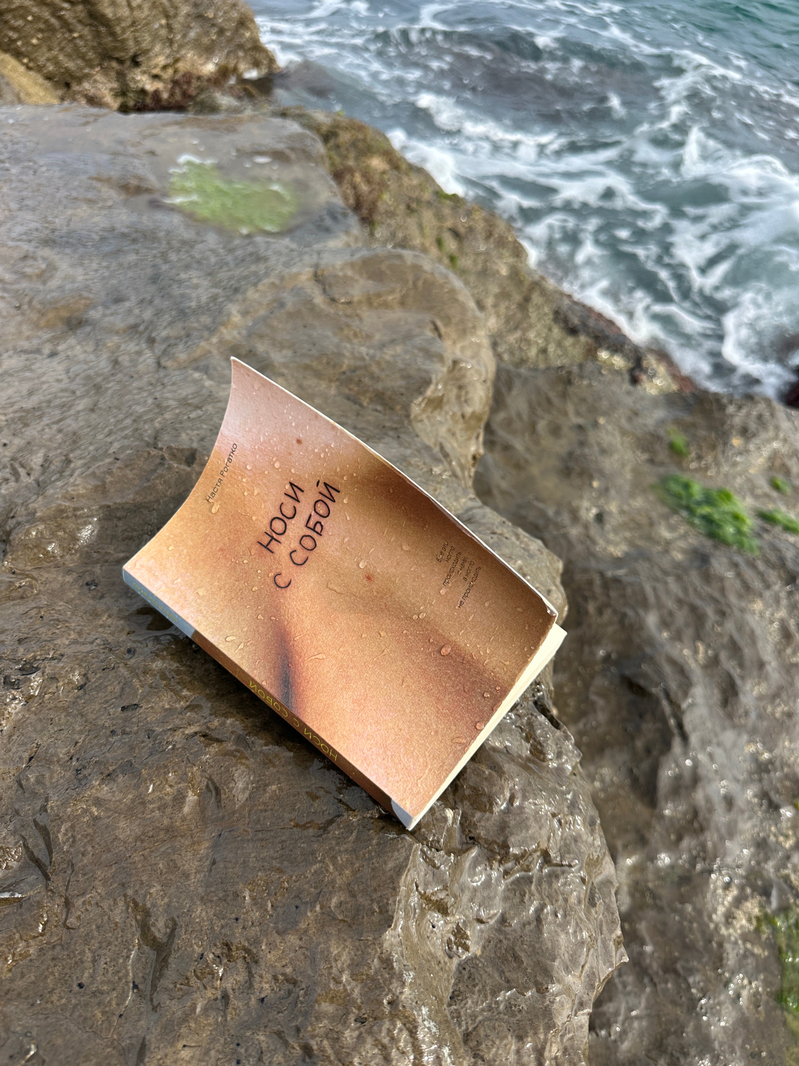 Book «Носи с собой» by Настя Рогатко